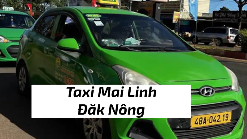 hãng taxi đắk nông