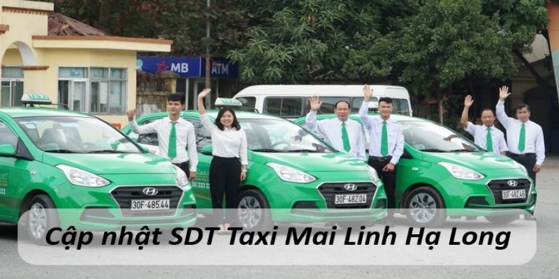 sdt taxi hạ long tốt nhất