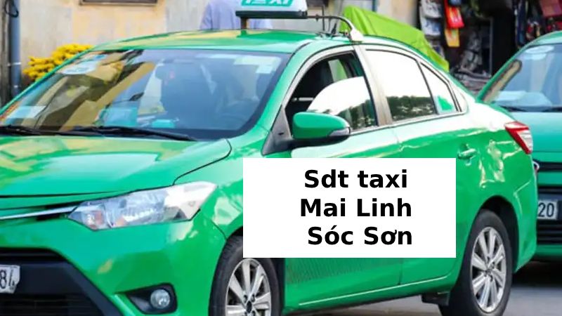 sdt taxi sóc sơn