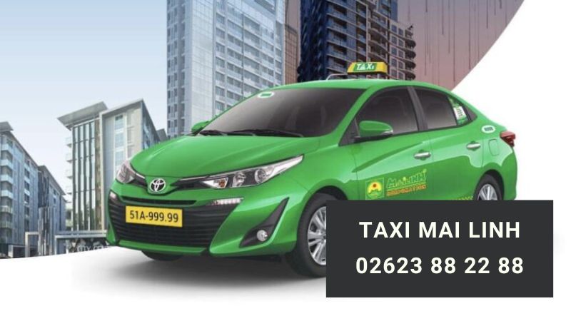 số xe taxi buôn hồ