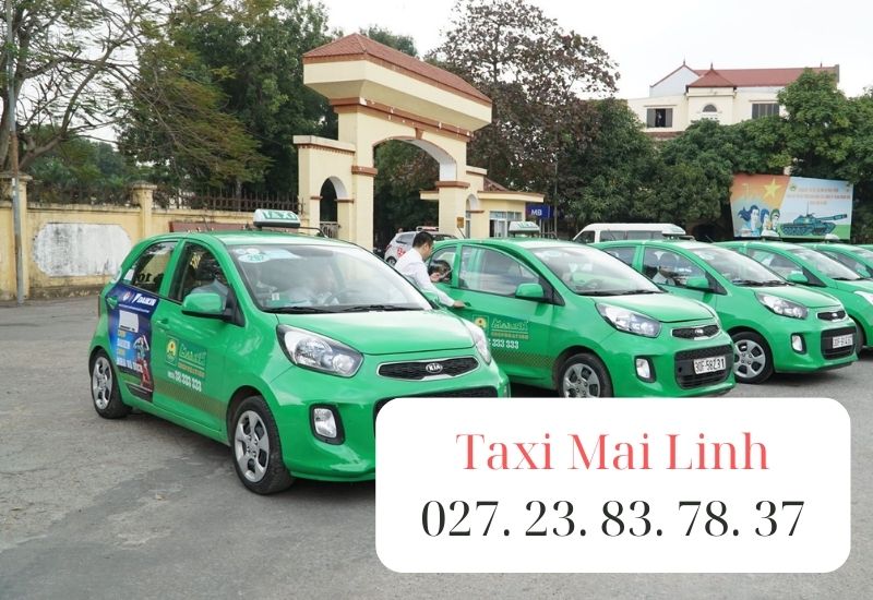 số xe taxi đức hoà