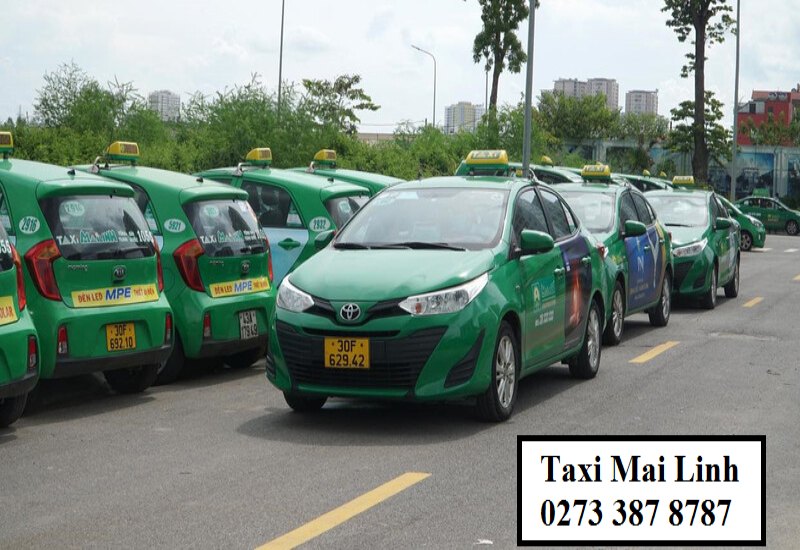 Số xe taxi Tân Hiệp