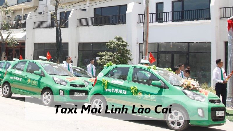 tổng đài lào cai tốt nhất